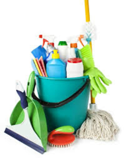 a product from the Cleaning Products category